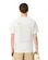 CAMISETA LACOSTE ESTAMPADA