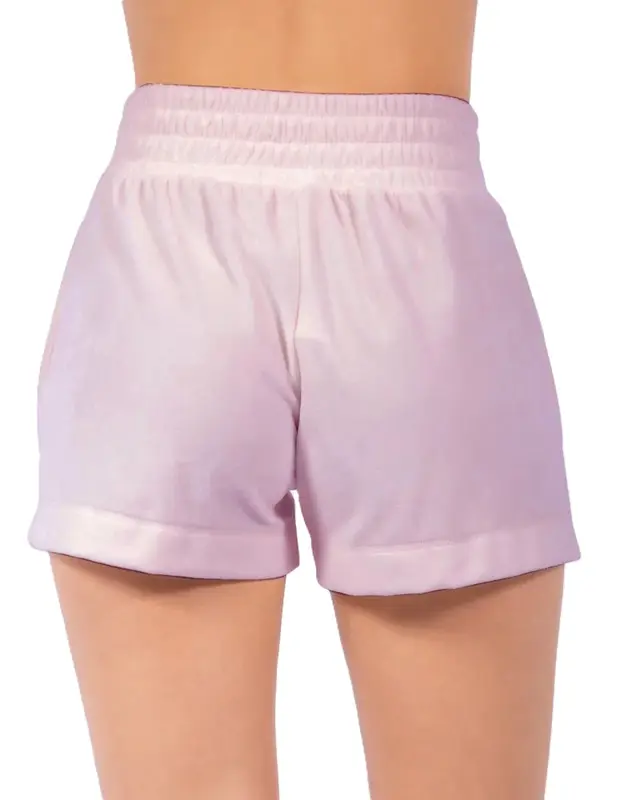 SHORT RIP CURL PREMIUM SURF SHORTS A091-LILAC