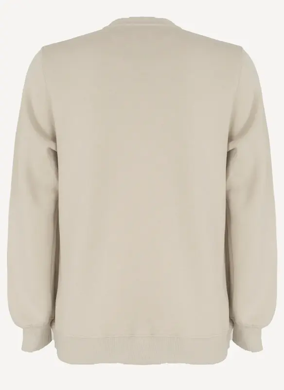 MOLETOM QUIKSILVER CARE EMBROIDERY AREIA
