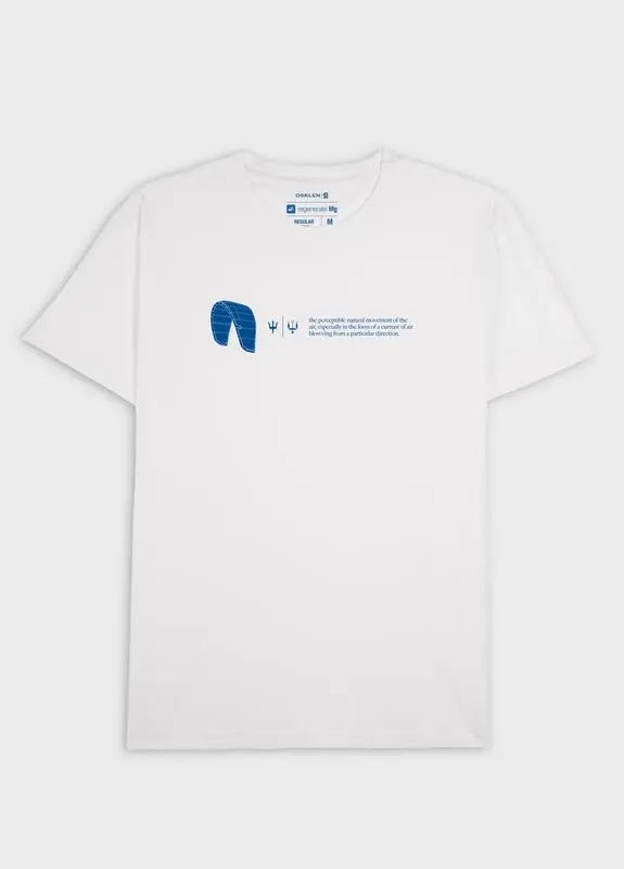 CAMISETA OSKLEN STONE PURE KITE BRANCO