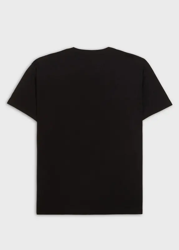 CAMISETA OSKLEN VINTAGE BRAZILIAN KITESURFING MC PRETO