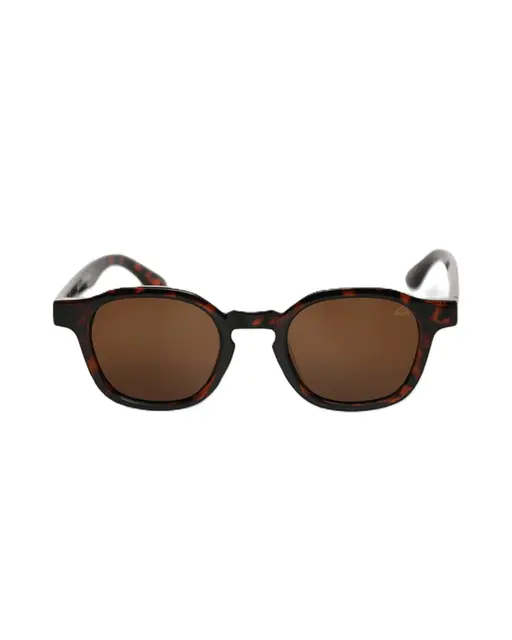 OCULOS QUIKSILVER RIO HAVANNA/MARROM