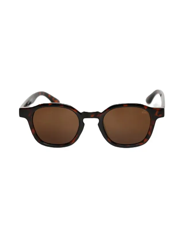 OCULOS QUIKSILVER RIO HAVANNA/MARROM HAVANA/MARROM